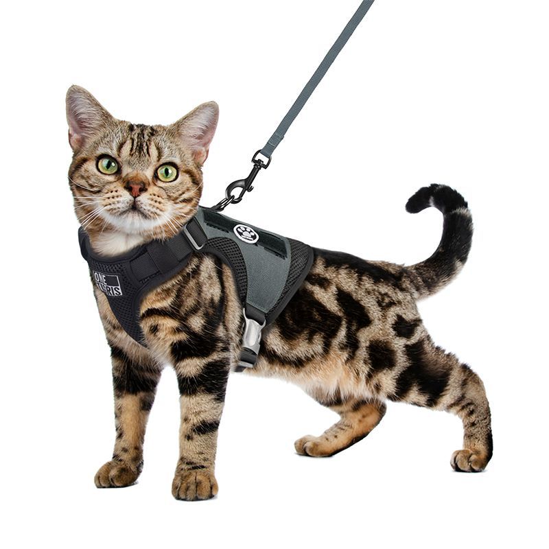 Claw Enforcement